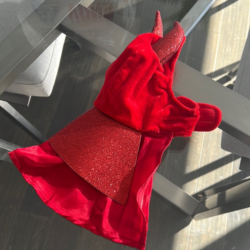 Puppy Devil Costume ♥️